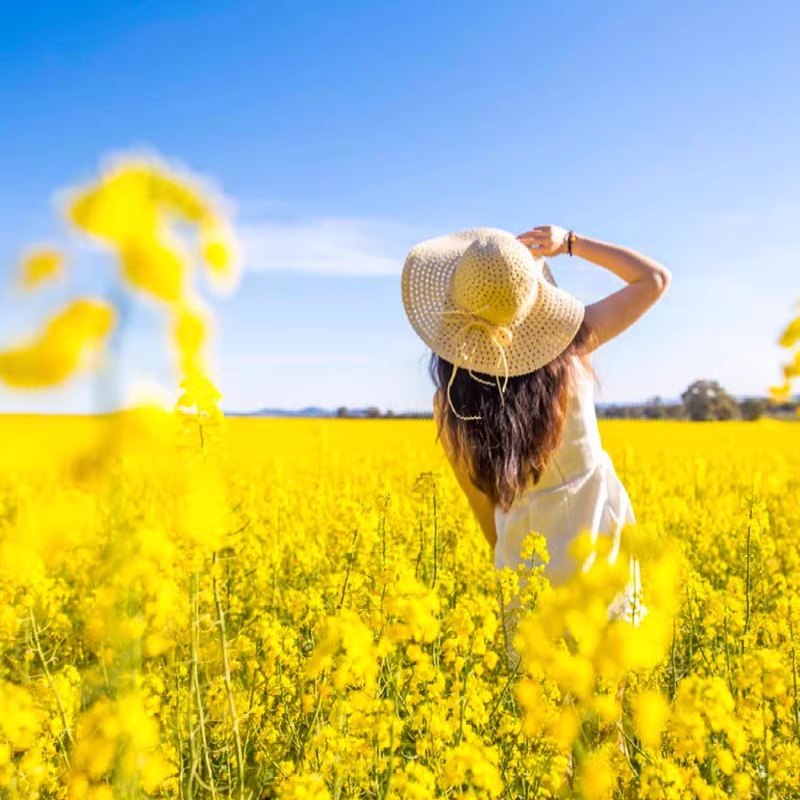 婺源篁岭+江岭/李坑一日游 含篁岭索道120元/人