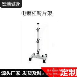Barbell Rack, Barbell Stand, Weightlifting Rack, Squat Bench Press Rack, Home Fitness Equipment Storage, Barbell Plates, Gym