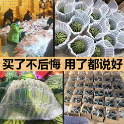 Watermelon Air Column Bag Express Packaging Bubble Column Bag Shockproof Cantaloupe Kirin Special Small Phoenix Inflatable Bag Early Spring Red Jade