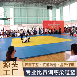 Judo Mat, Muay Thai Wrestling Mat, Fighting Martial Arts Sanda Mat, Fighting Jiu-Jitsu Gym Mat
