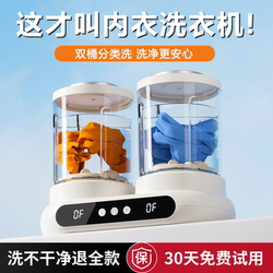 Mini Washing Machine for Underwear, Small Cleaning Machine for Socks, Portable Double-Tub Laundry Cup