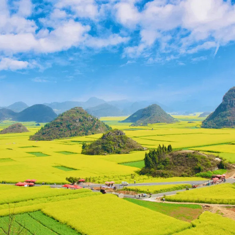 滇东南深度9天元阳梯田罗平油菜花东川红土地建水弥勒河口蒙自