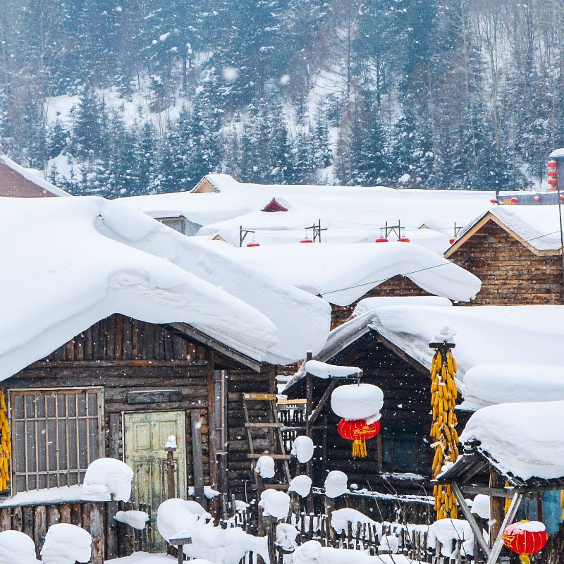 东北旅游7天6晚漠河雪乡哈尔滨圣诞村龙江第一湾白桦林驯鹿园滑雪