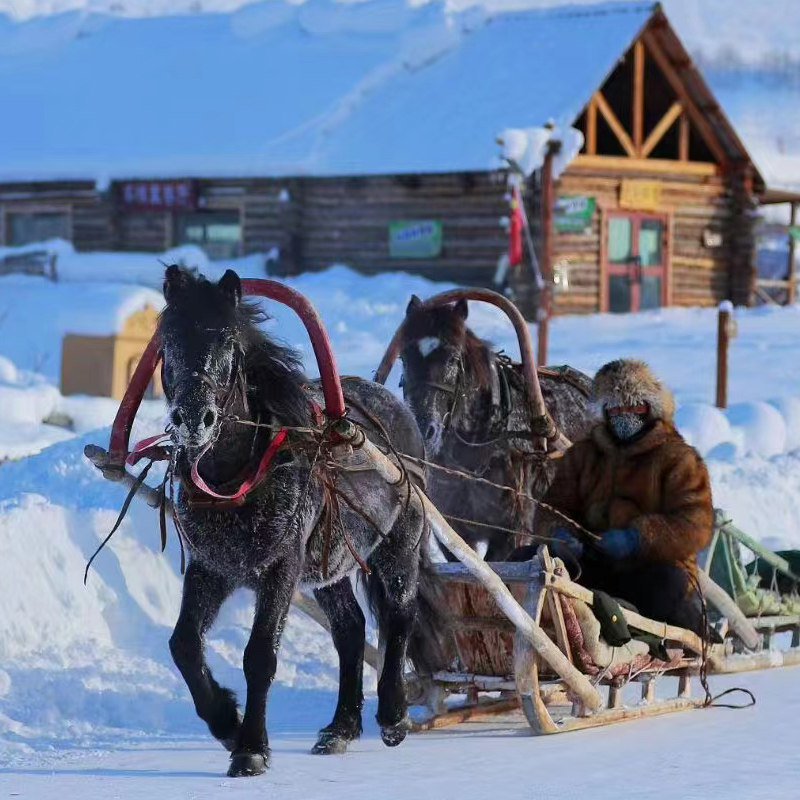 北疆阿勒泰冰雪6日赠禾木轻旅拍白哈巴喀纳斯三湾将军山落日缆车