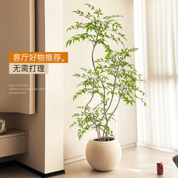 Artificial Green Plant, Nandina Bamboo Floor-Standing Potted Plant, Indoor Large-Scale Simulated Plant Ornament, Living Room Light Luxury Decorative Flower, Fake Tree