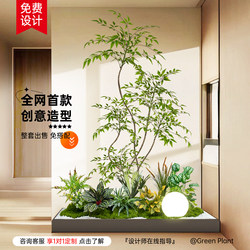 Simulated Green Plants Indoor Landscaping Balcony Landscape Combination Large-Scale Bionic High-End Decorative Ornaments Floor-Standing Potted Plants Fake Trees