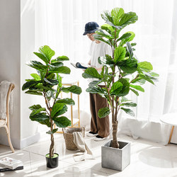 Simulated Ficus Lyrata Large Potted Plant Nordic Plant Indoor Decoration Fake Green Plant Bonsai Home Living Room Decoration