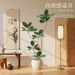 Simulated Rubber Tree Indoor High-End Artificial Green Plant Tv Cabinet Decoration Floor-Standing Plant Potted Plant Imitation Black Diamond