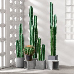 Simulated Green Plant Cactus Indoor Landscaping Combination Large-Scale High-End Bionic Tropical Plant Floor-Standing Potted Plant