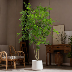 Artificial Green Plant Elm Money Tree Indoor Large Decorative Ornament Shop Window Money Banyan Floor-Standing Potted Plant Artificial Plant