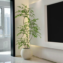 Artificial Green Plant Nandina Bamboo for Indoor Living Room Tv Cabinet, High-End Bionic Green Plant Floor-Standing Potted Atmosphere Tree