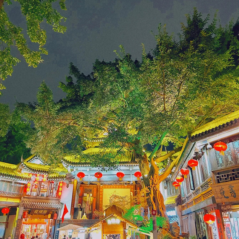 川渝成都重庆九寨沟峨眉山3日2晚自由行 大熊猫基地 洪崖洞可选