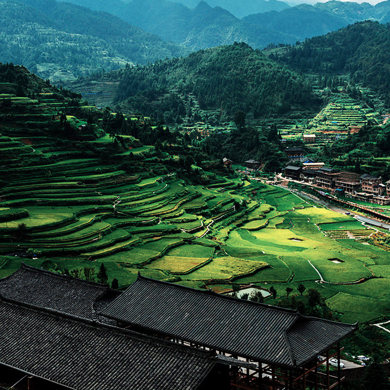 西江千户苗寨1日游 贵州旅游 有2-8人小团一日游跟团游纯玩