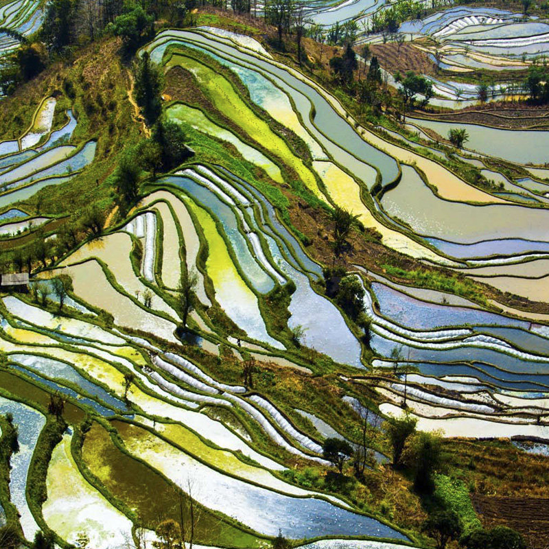 滇东南6天5晚弥勒普者黑碧色寨元阳建水抚仙湖红土地私家独立团游