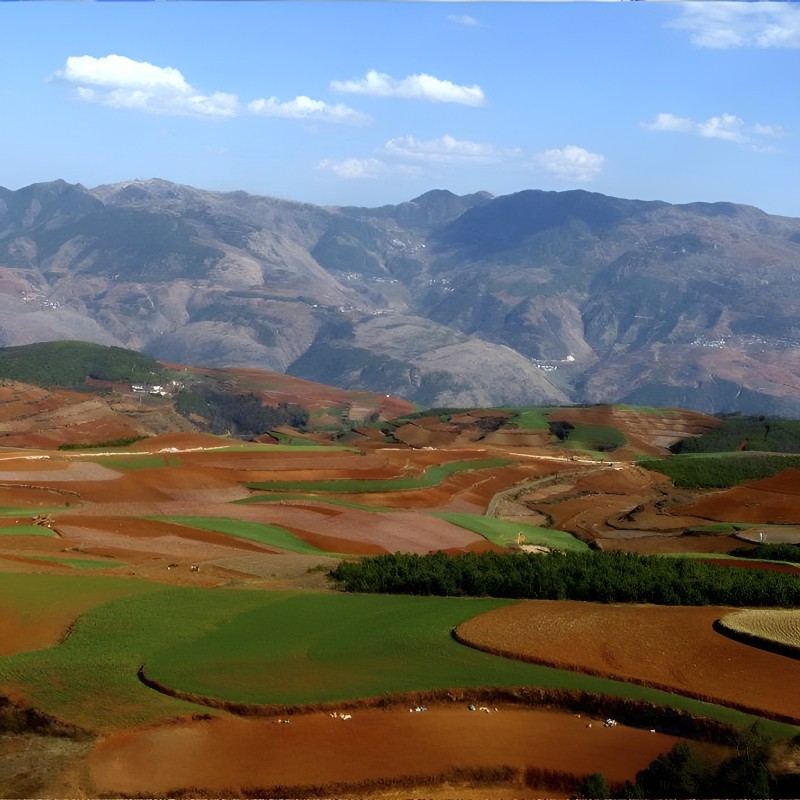 云南昆明旅游私家团东川红土地纯玩无购物一日游摄影之旅包车小团