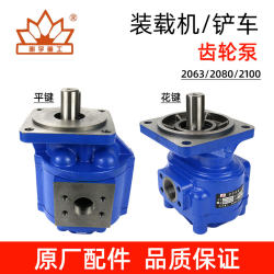 Mingyu forklift loader accessories collection original hydraulic pump gear CBG2063/2080/2100 high pressure pump