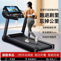 Treadmill for Home Use, Indoor Small Folding Walking Machine, Silent Electric Treadmill for Weight Loss, New Model for Gym Use
