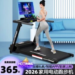 Treadmill for Home Use, Indoor Small Folding Walking Machine, Household Silent Electric Weight Loss Machine, New Model for Gym Use