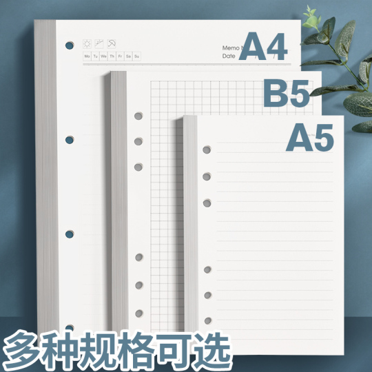 Must remember ルーズリーフバインダー用リフィル A4/B5 - 9/26