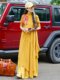 Yang Liping Tripted Yunshang Design the same national style retro embroidery female autumn dress long -sleeved chiffon long skirt
