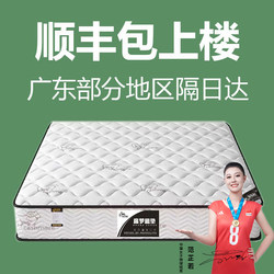 Simmons Mattress Top Ten Brands, Dual-Use Soft and Firm, 20cm Economical Latex, Sea Coconut Palm, Horsehair Spring Mattress for Home Rental