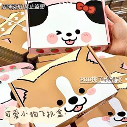 Original Cute Puppy High-Quality Airplane Box Ins-Style Card Packaging Box Gift Box for Express Delivery and Shipping