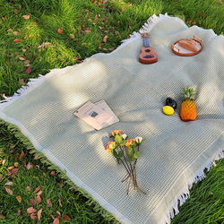 Spring Outing Mat, Picnic Mat, Outdoor Camping White Blanket, Photo-Taking Beach Mat, Picnic Ground Mat, Thickened and Portable
