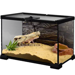 chameleon climbing pet feeding box Latest Best Selling Praise 