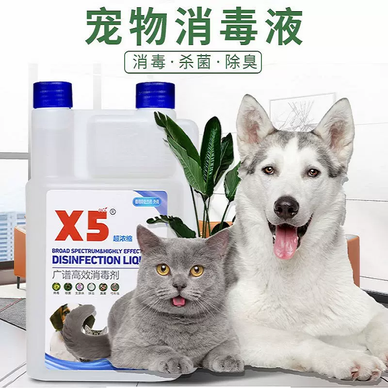 X5宠物专用浓缩消毒液环境细小猫犬瘟去味除臭剂