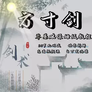 龍形拳 朱紹基著 蛇形拳- Top 50件蛇形拳- 2025年8月更新- Taobao