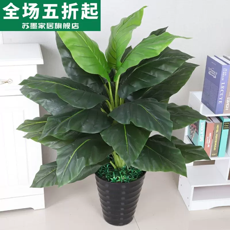 假绿植万年青仿真植物客厅室内落地花大盆栽景塑料装饰树