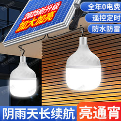 2025 New Solar-Powered Outdoor Garden Light, Household Rechargeable Indoor Lighting, One-To-Two Split-Type Hanging Light Bulb