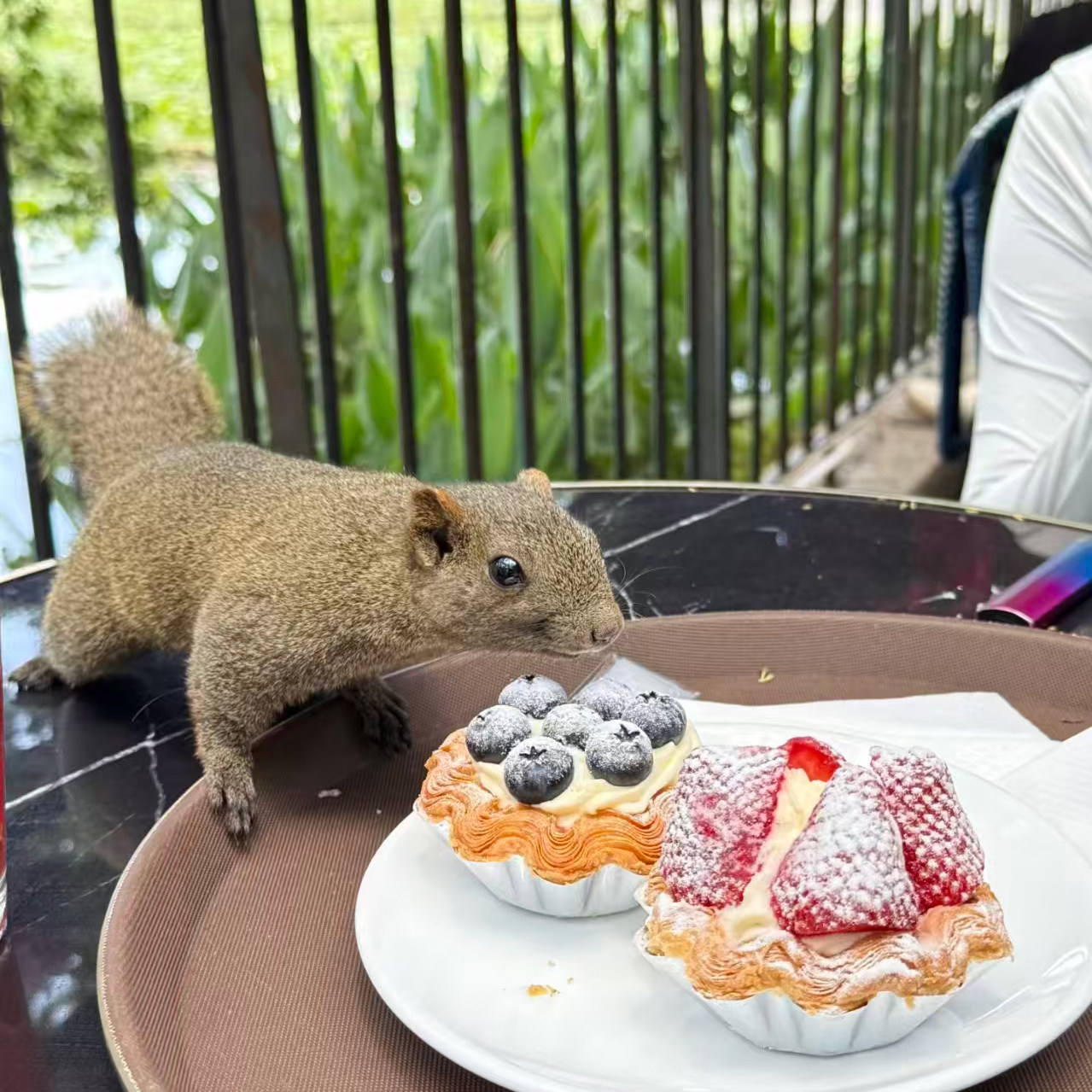 云南旅游6人纯玩高端小团昆明大理丽江年轻人Citywalk品质纯玩团