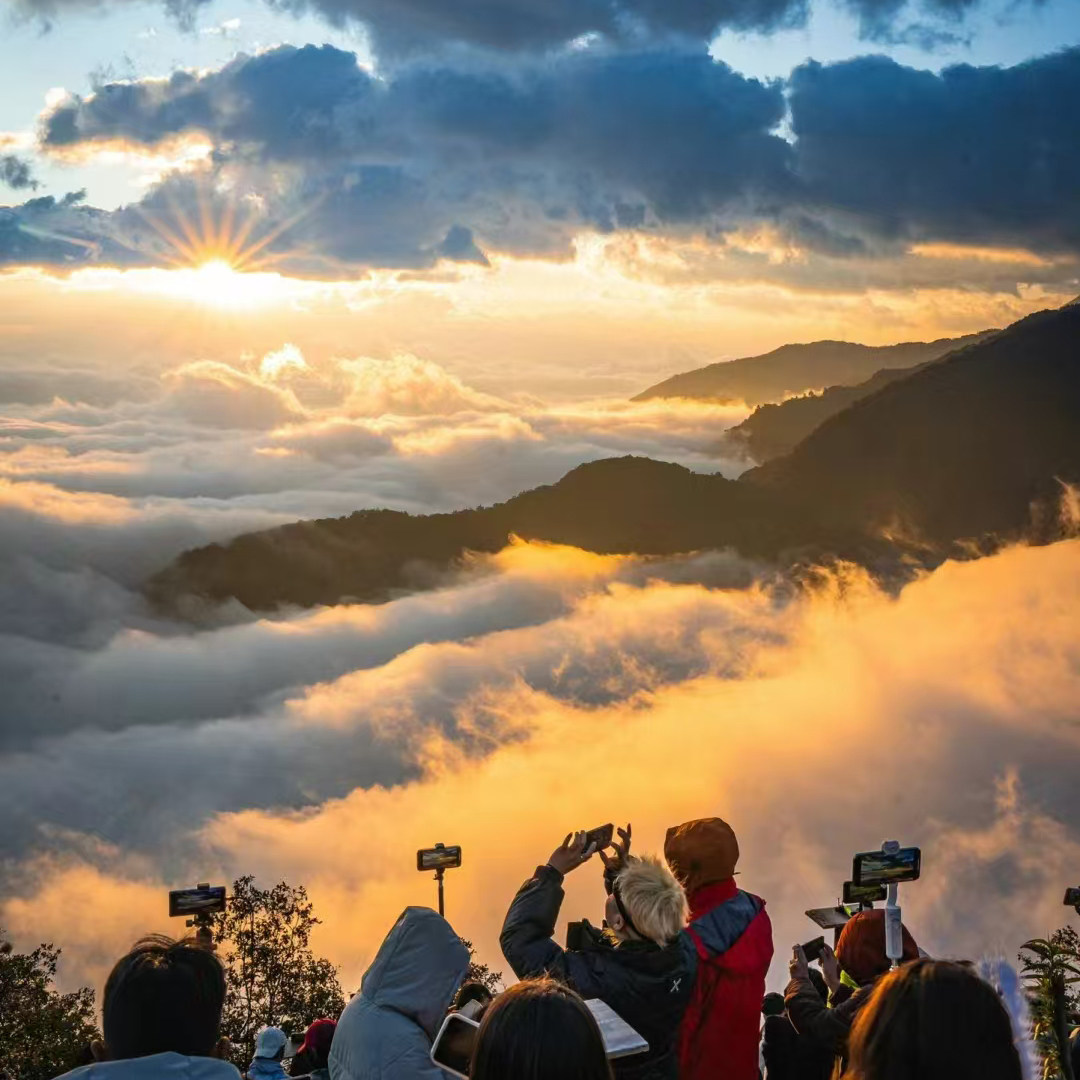 云南哀牢山旅游2天1晚纯玩跟团游含餐含导游观原始森林日出云海