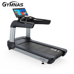 Treadmill for Commercial Gyms Rt16 Smart Large Luxury Professional Shock-Absorbing Silent Corporate Personal Training Studio
