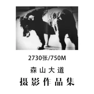 森山大道作品集- Top 50件森山大道作品集- 2024年3月更新- Taobao