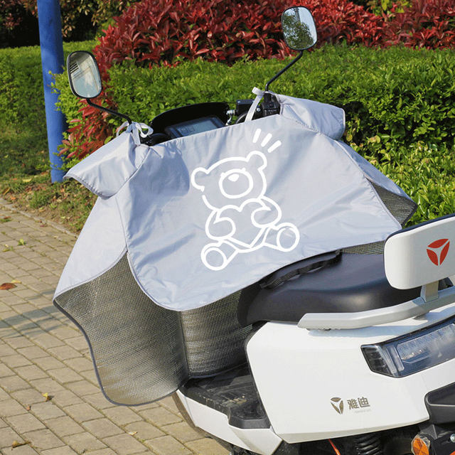 PDFE-Scooter Injuries - Public Health Ontario