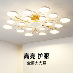 Living Room Lamp, Modern, Simple and Elegant, Main Lamp for the Hall, New Led Ceiling Lamp, High-End, Light Luxury, Petal Chandelier