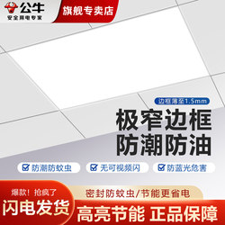 Bull Brand Integrated Ceiling Led Recessed Kitchen Ceiling Light 300X600 Aluminum Panel Bathroom Flat Light