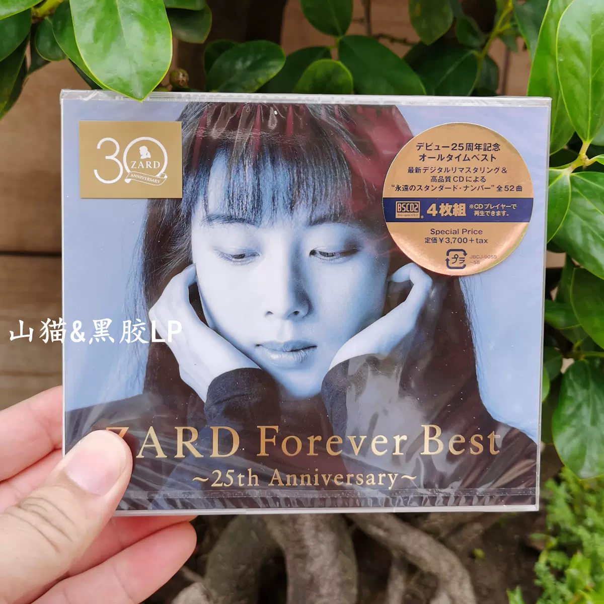 现货坂井泉水精选集ZARD Forever Best~25th Anniversary 4CD