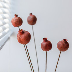 Dried flowers imported real flowers pomegranate photography props