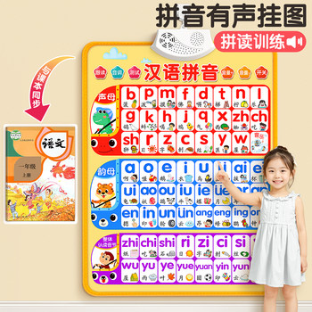 Chinese Pinyin Alphabet Wall Sticker Textbook Synchronization