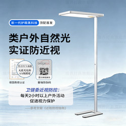 Floor-Standing Table Lamp for Eye Protection, Special for Studying, Standing Street Lamp for Reading, Student Bedroom, Home Study Desk Lamp for Writing Homework