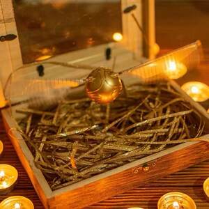 
Harry Potter Golden Snitch Flying Toy Quidditch Wired Flying Golden Snitch Wooden Box Christmas Birthday