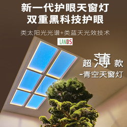 Landes Modern Smart Blue Sky Light Kitchen Bathroom Entrance Hotel Light Blue Sky Light Natural Light