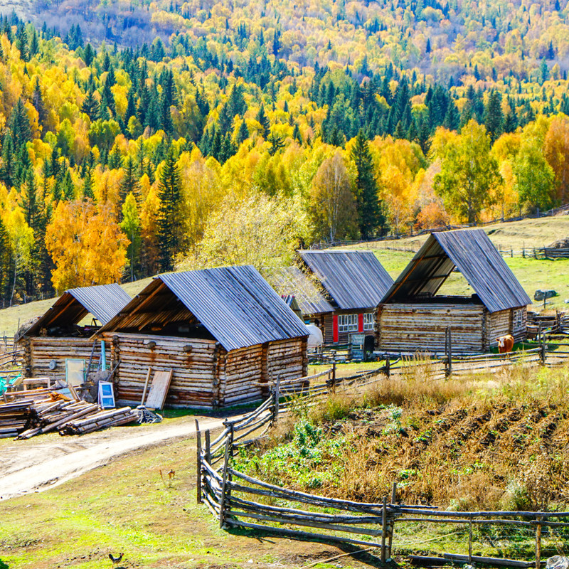 往返直飞新疆旅游北疆环线阿勒泰赛里木湖纯玩私家团9天8晚跟团游
