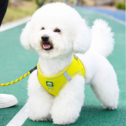 Vest-Style Small Dog Leash for Bichon, Teddy, Pomeranian, Puppies, Summer Mesh Breathable Harness