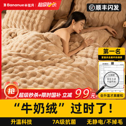 Winter Milk Velvet Four-Piece Bedding Set 2025 New Coral Velvet Thickened Warm Rex Rabbit Velvet Bed Sheet Duvet Cover