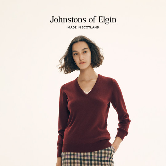 Johnstons of elgin レディース ピュア カシミア v ネック セーター 多目的セーター