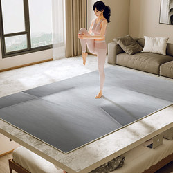 Light Luxury Style Sports Floor Mat, Soundproof and Shock-Absorbing, Special Yoga Carpet, Home Fitness Exercise Treadmill Silent Mat